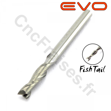 Fraise 2 dents FishTail 3.17mm LU 12mm Q 3.175mm EVO